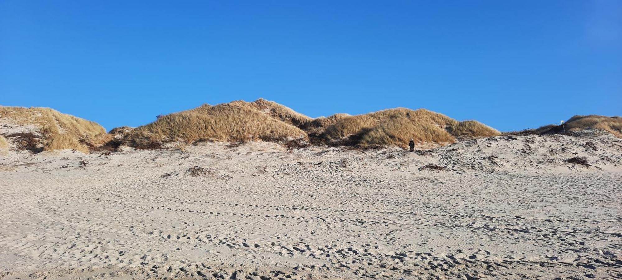 Gadegaard Apartment Ringkøbing Екстериор снимка