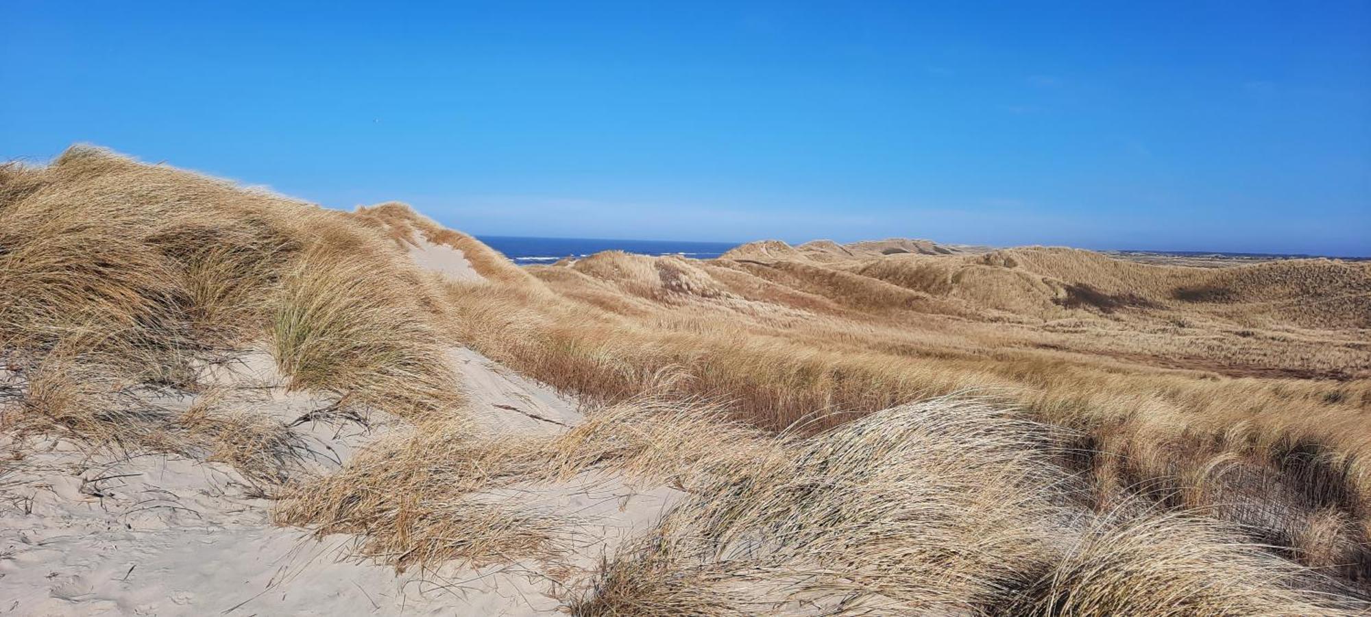 Gadegaard Apartment Ringkøbing Екстериор снимка